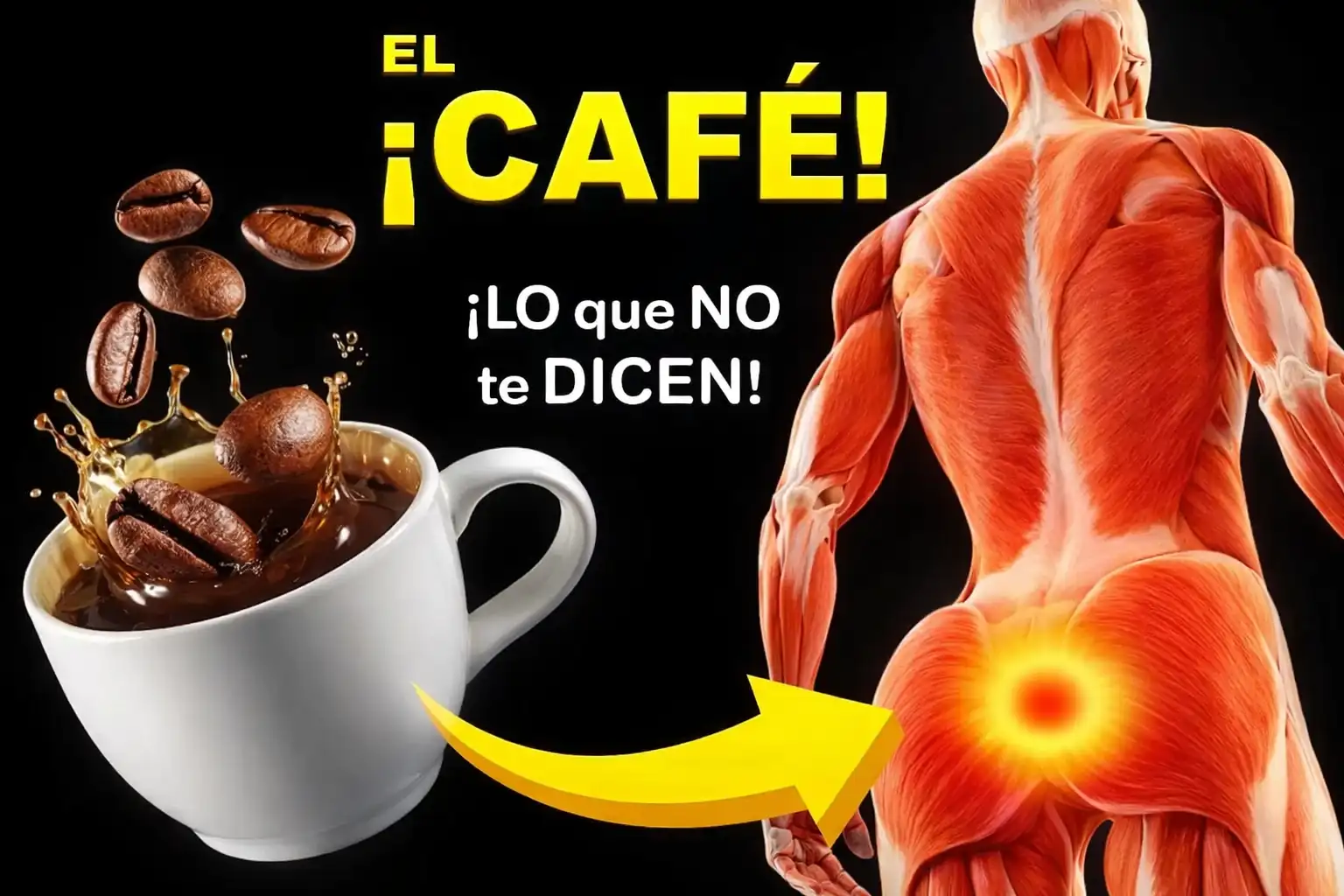 café efectos cuerpo beneficios — taza de café con granos y efecto en el cuerpo humano